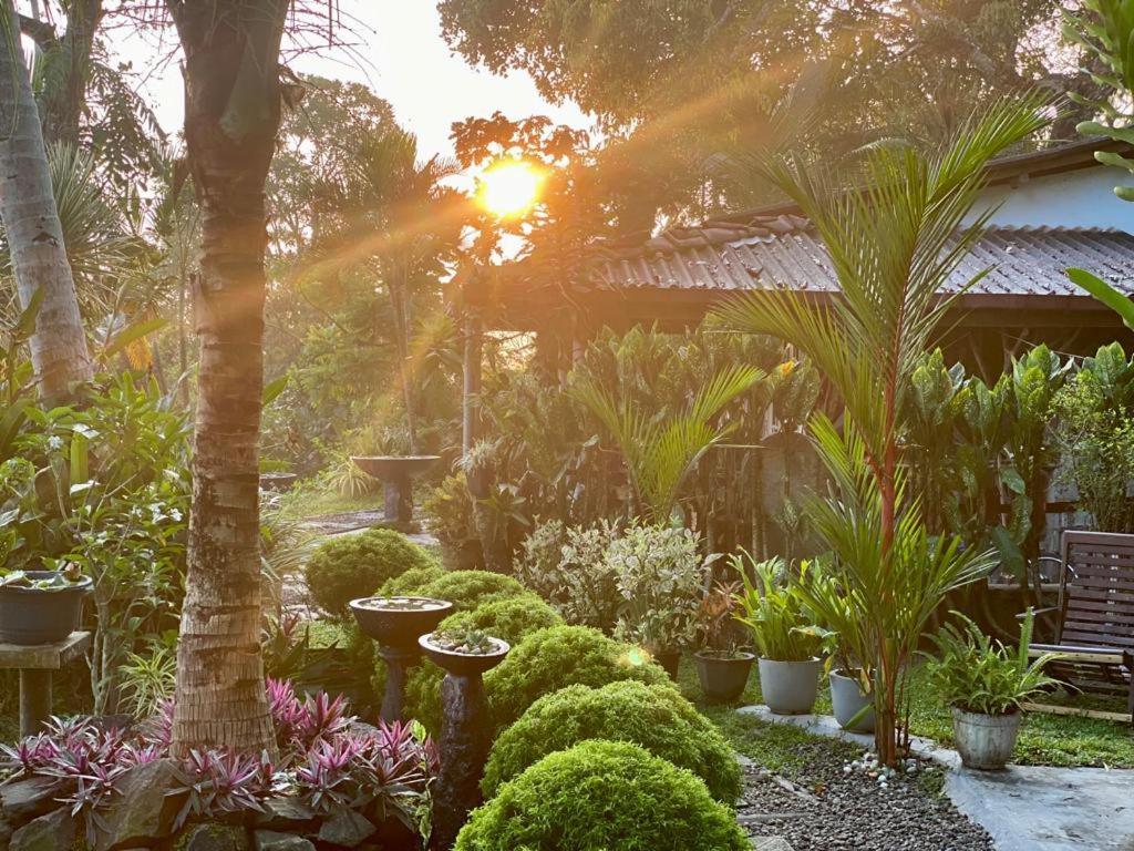 Hathawariya Green View Cabin Talpe Exterior photo